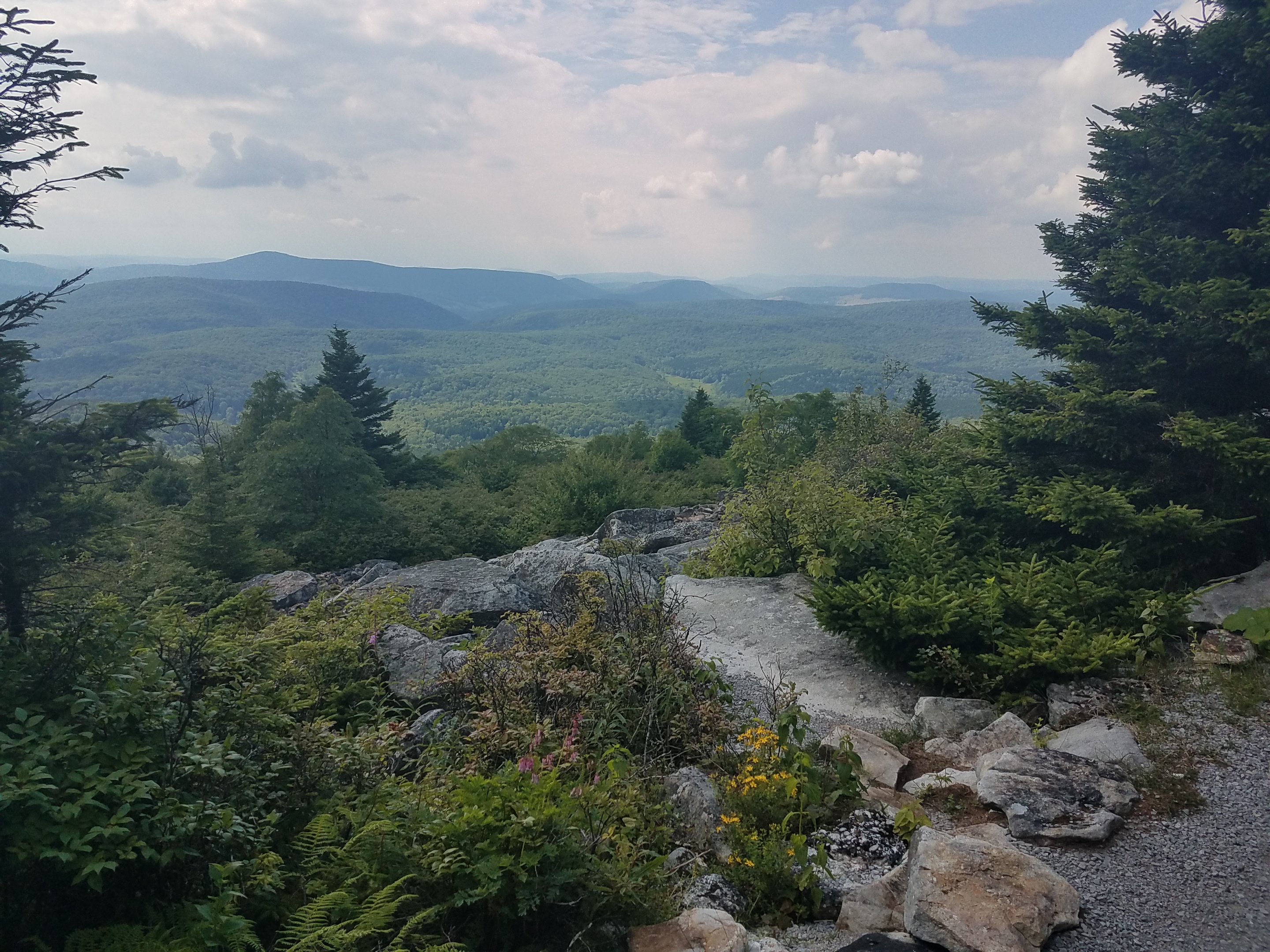 View from atop Spruce Knob, the tallest mountain in West Virginia