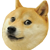 doge.png